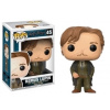 Funko POP Movies: Harry Potter - Remus Lupin