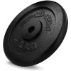 Spokey SINIS Litinový kotouč 29 mm 2,5 kg