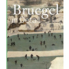 Bruegel in Detail