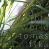 Liška Tomáš - Invisible World [CD]