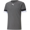 Tričko Puma teamRISE Smoked M 704932 13