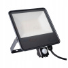 LED Reflektor - IQ-LED FL-50W-NW-SE 33888 (IQ-LED FL-50W-NW-SE 33888)