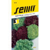 Semo Šalát kučeravý k rezu - Farebná zmes odrôd 0,8g