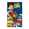 Detexpol Detský uterák Paw Patrol no job 50 x 30 cm