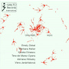 Urla Kahl - Horn (CD)