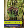 Šamanské putování