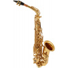 AUDIO PARTNER s.r.o. BACIO INSTRUMENTS BAS-100