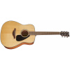 Yamaha FG800 NT