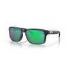 Oakley Holbrook - Jade Fade/prizm jade