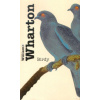 Birdy