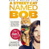 A Street Cat Named Bob - James Bowen