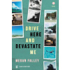 Drive Here and Devastate Me
