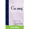 E-kniha Cez závoj - Vladimír Roy