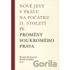 Nové jevy v právu na počátku 21. století - sv. 4 - Soukromé právo - Monika Pauknerová, Michal Tomášek