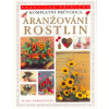 Aranžování rostlin
