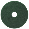 TASKI Americo Pad 21