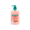 Sanytol dezinfekčné mydlo do kuchyne grapefruit & svieži citrón 250 ml