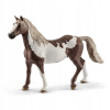 Schleich 13885 HORSE CLUB Paint horse valach Figúrka pre deti od 5 rokov