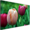 OBRAZ NA PLÁTNO DO OBÝVAČKY KVETY TULIPÁNOV 90x60 (Maľovanie na plátne 90x60 tulipánových kvetov)
