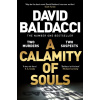 A Calamity of Souls