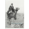 Seven Pillars of Wisdom - T.E. Lawrence