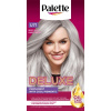 SCHWARZKOPF PALETTE Deluxe U71 Ľadová strieborná (50 ml)