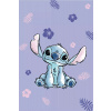 Jerry Fabrics Mikroflanelová deka Lilo a Stitch 100x150 cm