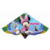 Günther Drak Minnie