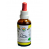 Salvia Paradise Saw palmetto standardizovaný extrakt 50 ml