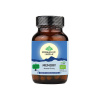 Memory kapsule Pamäť a koncentrácia Organic India 60 ks Obsah: 60 kapsúl