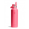 Termofľaša Hydro Flask 21 Oz Standard Flex Straw Cap (621 ml) - popstar pink