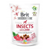 Brit Care Dog Insects with Lamb & Raspberries 200 g