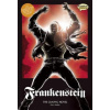 Frankenstein: The Graphic Novel