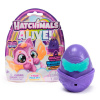 Spin Master HATCHIMALS JEDNO BALENIE NEÓNOVÁ DÚHA