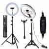 LED prstencová lampa Asato 80 W