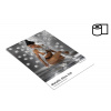Fomei 305 mm x 50 m | FOMEILAB Metallic Gloss 255 | 1 role