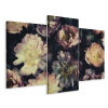 Obrázok Triptych Kvety Rastliny Retro Nature 60x40 (Obrázok Triptych Kvety Rastliny Retro Nature 60x40)