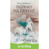 E-kniha Přízraky na Devíně - Juraj Červenák