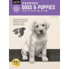 Drawing: Dogs & Puppies - Learn to draw step by step Knox CynthiaPaperback