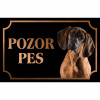 Hanoverský farbiar - Kovová tabuľka POZOR PES