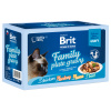 Brit Premium Cat Delicate Fillets in Gravy Family Plate 12x85g