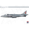 Hobby 2000 BAe Harrier GR.9 1/48