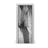 Samolepiace fototapety na dvere slon 75x205