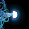 Elephant Tree - Elephant Tree / Digipack [CD]