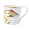 Villeroy & Boch Amazonia espresso šálka, 0,08 l 10-3514-1420