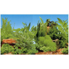 Ferplast Blu 9046 Background 80x40cm