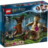 Lego Harry Potter 75967 Zakázaný les: stretnutie Draca a profesora