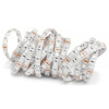 Svietidlo - svetelný zdroj - TAŚMA LED 5050 300LED 5M IP65 12V RGB (Svietidlo - svetelný zdroj - TAŚMA LED 5050 300LED 5M IP65 12V RGB)