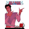 Bleach, Vol. 68 - Tite Kubo