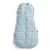 ERGOPOUCH Zavinovačka a vak na spanie 2v1 Cocoon Dragonflies 6-12 m, 8-10 kg, 2,5 tog ZEPCO-2.5T06-12MDF23